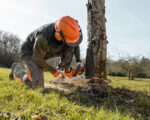STIHL MSA200C-B Cordless Chainsaw - Image 7