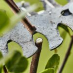 STIHL HSA26 Cordless Garden Shears Set - Image 5